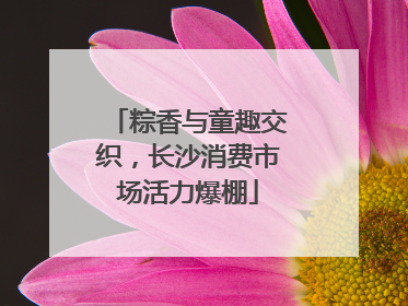 粽香与童趣交织，长沙消费市场活力爆棚