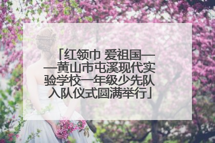 红领巾 爱祖国——黄山市屯溪现代实验学校一年级少先队入队仪式圆满举行