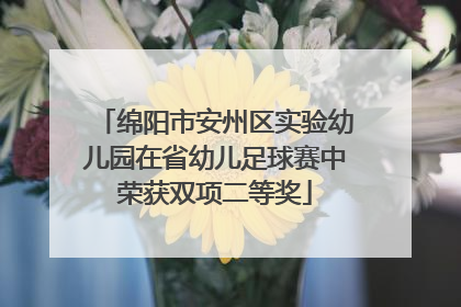 绵阳市安州区实验幼儿园在省幼儿足球赛中荣获双项二等奖