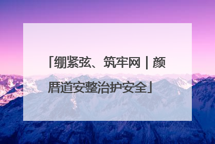 绷紧弦、筑牢网｜颜厝道安整治护安全
