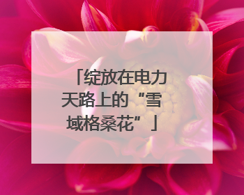 绽放在电力天路上的“雪域格桑花”