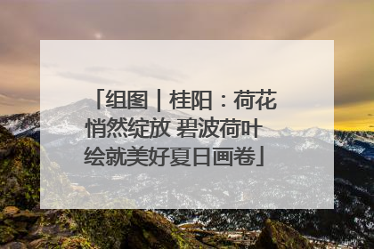 组图｜桂阳：荷花悄然绽放 碧波荷叶绘就美好夏日画卷