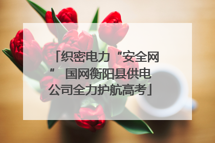 织密电力“安全网” 国网衡阳县供电公司全力护航高考