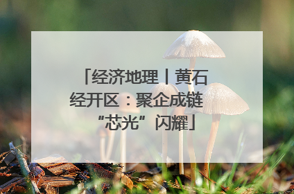 经济地理丨黄石经开区：聚企成链“芯光”闪耀