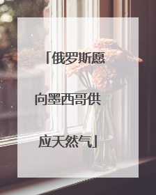 俄罗斯愿向墨西哥供应天然气