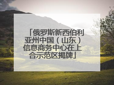 俄罗斯新西伯利亚州中国（山东）信息商务中心在上合示范区揭牌