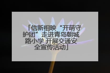 信新相映“开萌守护团”走进青岛朝城路小学 开展交通安全宣传活动