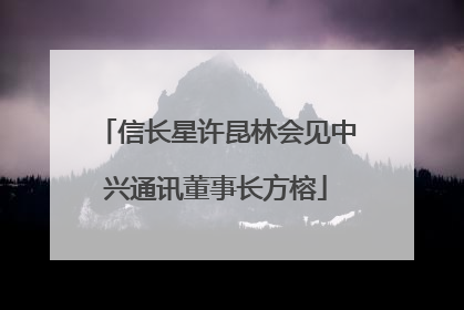 信长星许昆林会见中兴通讯董事长方榕