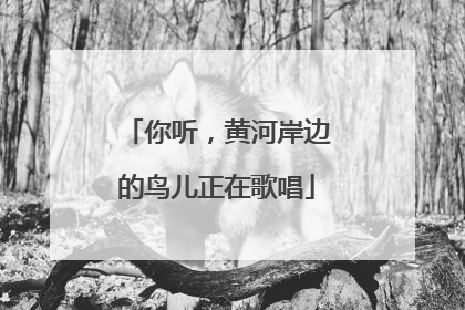 你听，黄河岸边的鸟儿正在歌唱