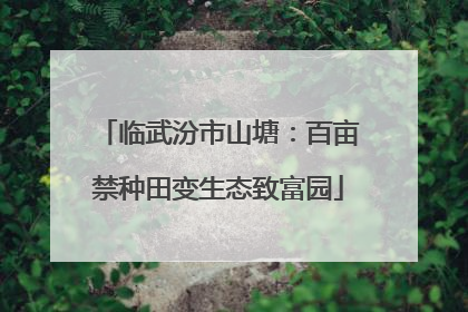 临武汾市山塘：百亩禁种田变生态致富园