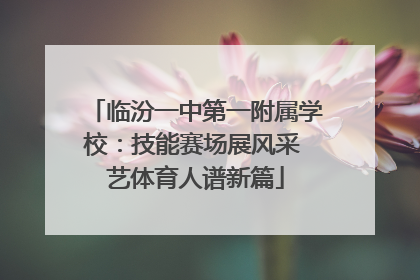 临汾一中第一附属学校：技能赛场展风采 艺体育人谱新篇