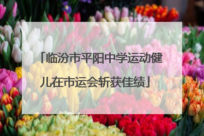 临汾市平阳中学运动健儿在市运会斩获佳绩