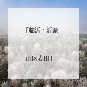 临沂：沂蒙山区麦田