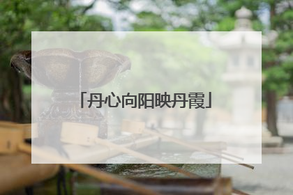 丹心向阳映丹霞
