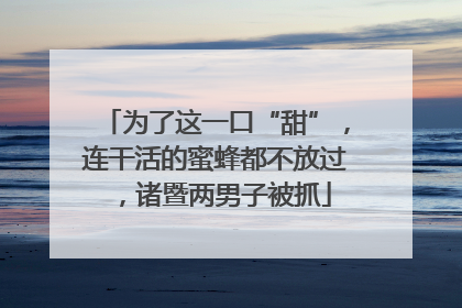 为了这一口“甜”，连干活的蜜蜂都不放过，诸暨两男子被抓