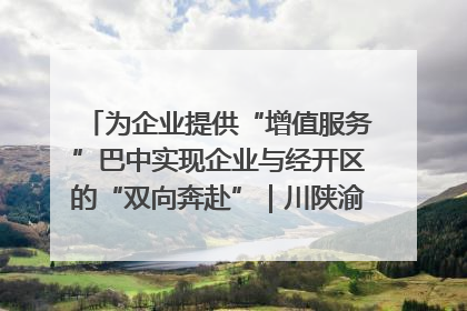 为企业提供“增值服务”巴中实现企业与经开区的“双向奔赴”｜川陕渝网络名人巴中行