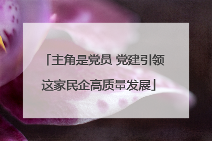 主角是党员 党建引领这家民企高质量发展
