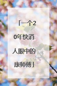 一个20年快消人眼中的康师傅