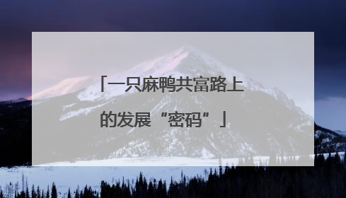 一只麻鸭共富路上的发展“密码”
