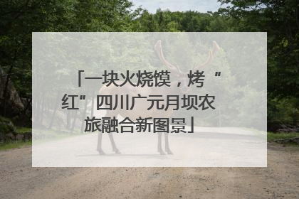 一块火烧馍，烤“红”四川广元月坝农旅融合新图景