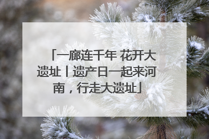一廊连千年 花开大遗址丨遗产日一起来河南，行走大遗址