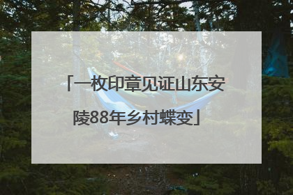 一枚印章见证山东安陵88年乡村蝶变