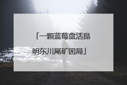 一颗蓝莓盘活昆明东川尾矿困局