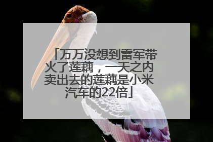 万万没想到雷军带火了莲藕，一天之内卖出去的莲藕是小米汽车的22倍