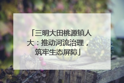 三明大田桃源镇人大：推动河流治理，筑牢生态屏障