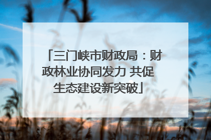三门峡市财政局：财政林业协同发力 共促生态建设新突破