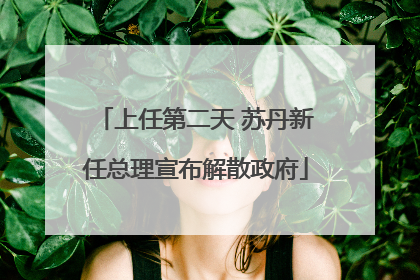 上任第二天 苏丹新任总理宣布解散政府