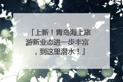 上新！青岛海上旅游新业态进一步丰富，到这里潜水！