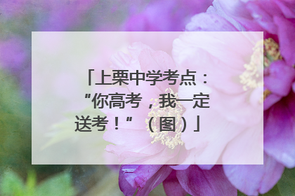 上栗中学考点：“你高考，我一定送考！”（图）