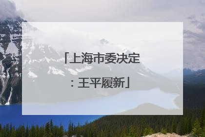 上海市委决定：王平履新