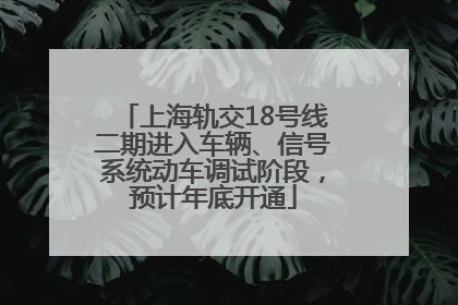 上海轨交18号线二期进入车辆、信号系统动车调试阶段，预计年底开通
