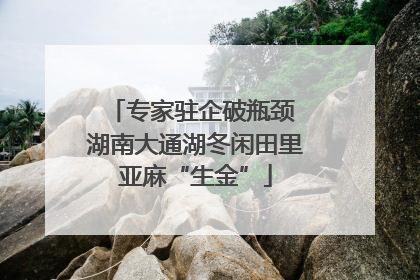 专家驻企破瓶颈 湖南大通湖冬闲田里亚麻“生金”
