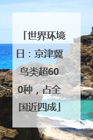 世界环境日：京津冀鸟类超600种，占全国近四成