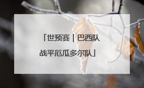 世预赛｜巴西队战平厄瓜多尔队
