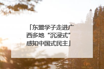 东盟学子走进广西多地“沉浸式”感知中国式民主