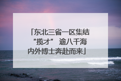 东北三省一区集结“揽才” 逾八千海内外博士奔赴而来