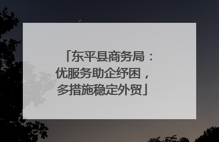 东平县商务局：优服务助企纾困，多措施稳定外贸