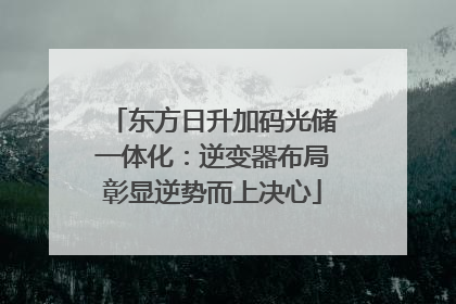 东方日升加码光储一体化：逆变器布局彰显逆势而上决心