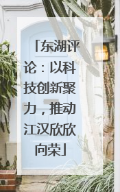 东湖评论：以科技创新聚力，推动江汉欣欣向荣