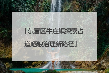 东营区牛庄镇探索占道晒粮治理新路径