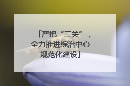 严把“三关”，全力推进综治中心规范化建设