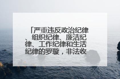 严重违反政治纪律、组织纪律、廉洁纪律、工作纪律和生活纪律的罗璇，非法收受他人巨额财物