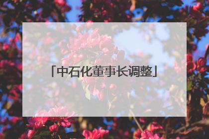中石化董事长调整