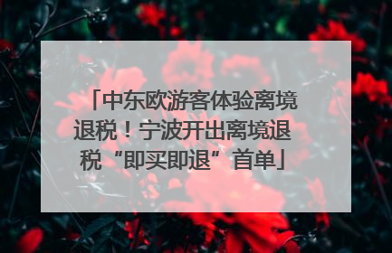 中东欧游客体验离境退税！宁波开出离境退税“即买即退”首单