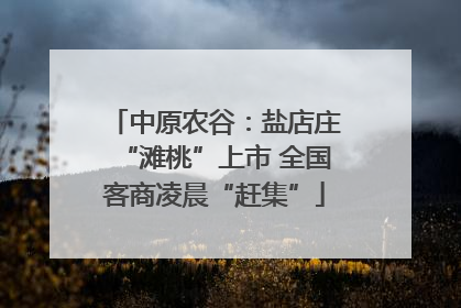 中原农谷：盐店庄“滩桃”上市 全国客商凌晨“赶集”