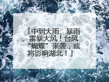 中到大雨、暴雨、雷暴大风！台风“蝴蝶”来袭，或将影响湖北！
